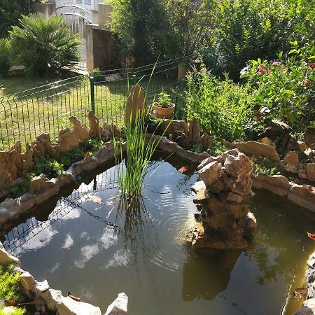 Local Lifestyle Apartman Zára Kültér fotó